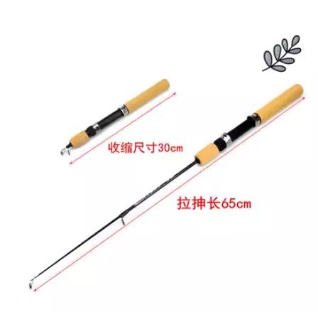 Mini Sea 10 Pole Short Section Throwing Fishing Rod Complete Set